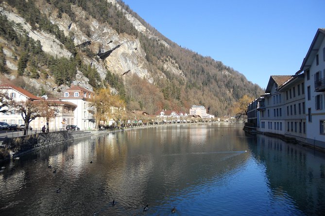 Interlaken Private Tour: Mountains Cows, Thun Lake, and Brienz Lake - Guide Quality and Guest Satisfaction