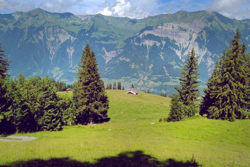 Interlaken: Scenic Walk and Raclette by the Mountain Lake - Arrival at Hinterburgseeli Lake for Lakeside Raclette