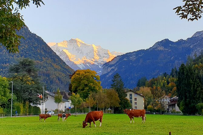 Interlaken sightseeing: Lauterbrunnen, Brienz, Interlaken - Discover the Best of Interlaken and its Enchanting Surroundings