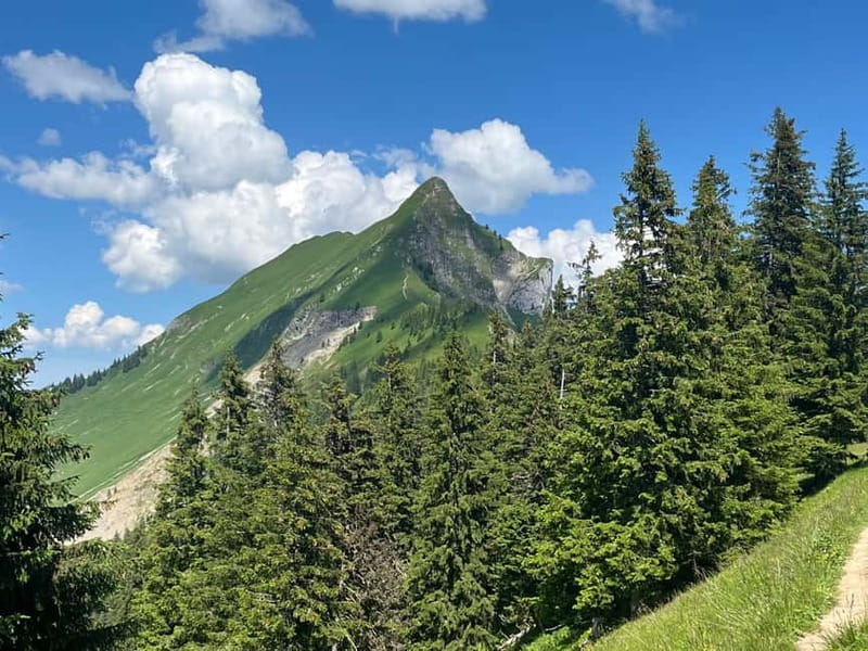 Interlaken: Summit the Augstmatthorn with a Swiss Triathlete - Logistics: Meeting, Duration, and Group Size