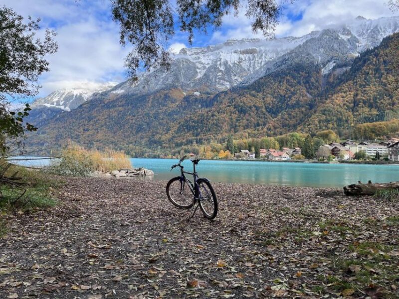 Interlaken Valley E-Bike Tour: Rivers, Lakes & Forests - Customization and Flexibility in Booking