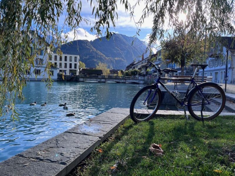Interlaken Valley E-Bike Tour: Rivers, Lakes & Forests - Final Thoughts on the Interlaken Valley E-Bike Tour