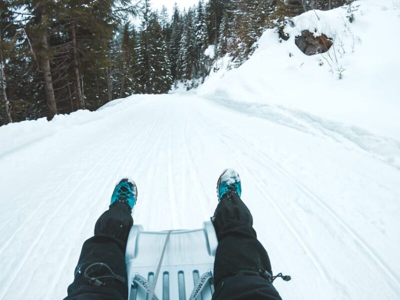 Interlaken: Winter Alpine Adventure - Snowshoe and Sledding - Key Points