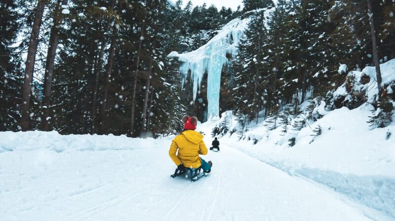 Interlaken: Winter Alpine Adventure - Snowshoe and Sledding - Versatile Experience with Optional Night Sledding