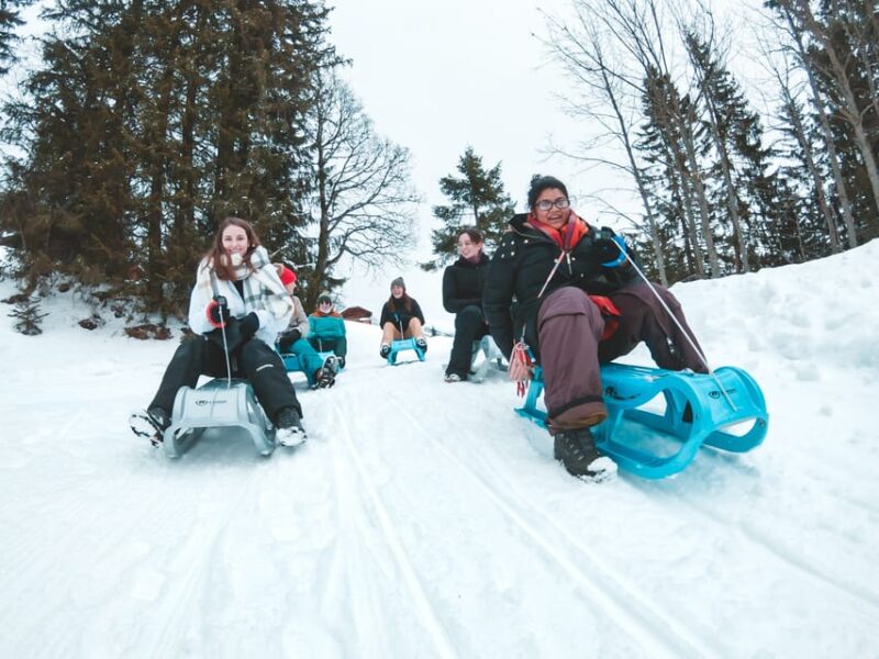 Interlaken: Winter Alpine Adventure - Snowshoe and Sledding - Who Should Consider This Tour?