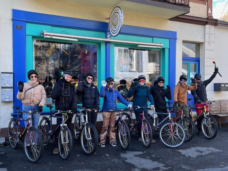 Interlaken Winter E-Bike Tour: Rivers, Lakes & Forests - Returning Along the Aare River for a Complete Circuit