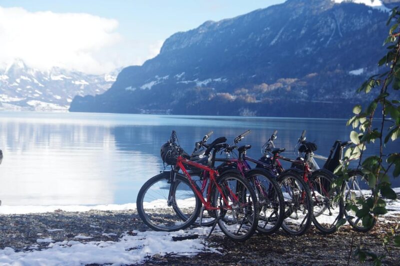 Interlaken Winter E-Bike Tour: Rivers, Lakes & Forests - The Experience of the Guides and the Overall Atmosphere