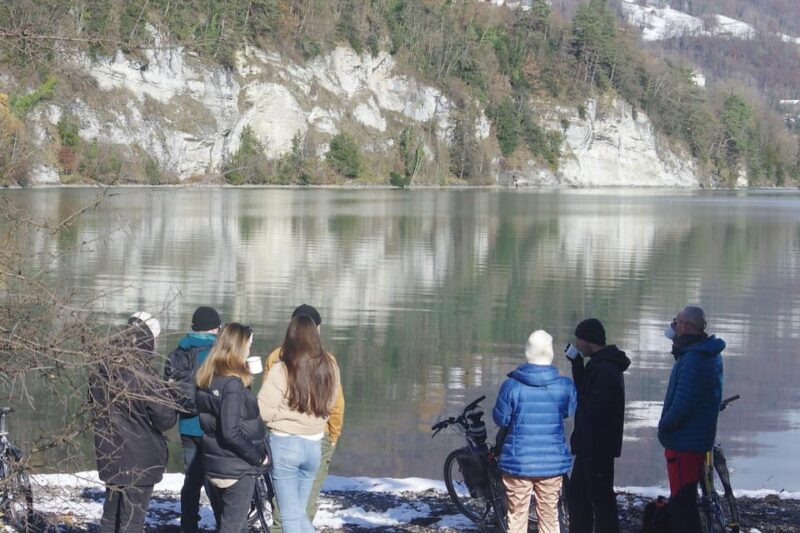 Interlaken Winter E-Bike Tour: Rivers, Lakes & Forests - The Sum Up: A Relaxed and Scenic Winter Ride in Interlaken