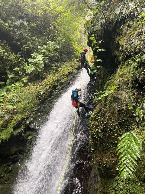 Intermediate Canyoning Madeira - What’s Included in the Price