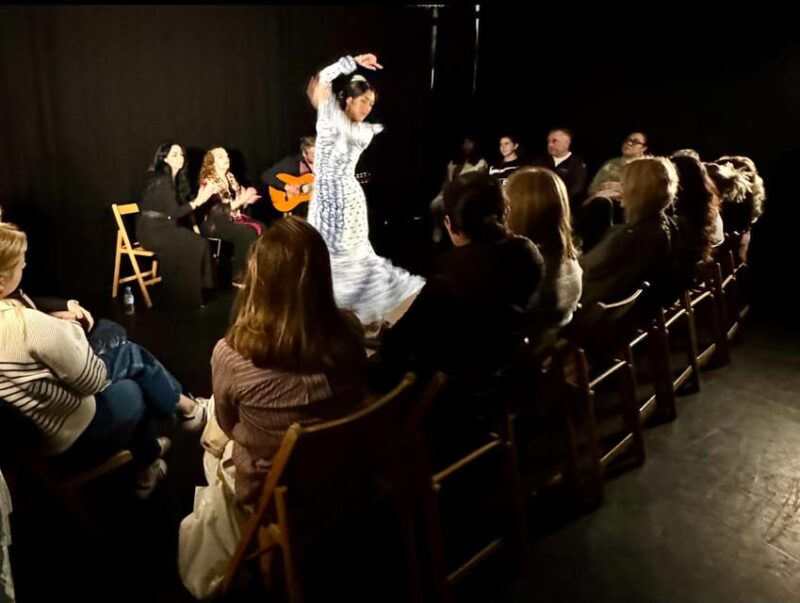 Intimate Flamenco: Exclusive Experience in Sevilla - How This Experience Compares to Other Flamenco Shows in Sevilla