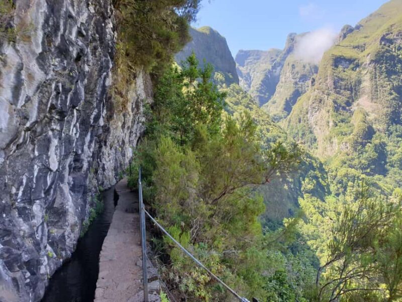 Into the Green Cauldron - Queimadas - Queimadas Forest Park: The Starting Point for an Iconic Madeira Hike