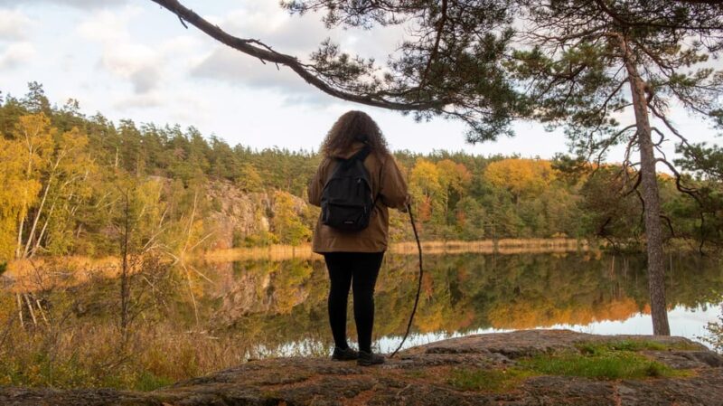 Into the wild - a sensorial experience in Stockholm's woods - Key Points