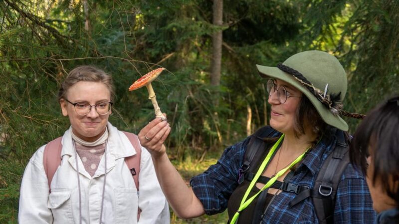 Into the wild - a sensorial experience in Stockholm's woods - What to Bring and What’s Provided