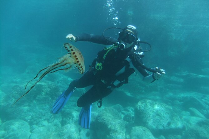 Intro Dive in Dubrovnik - The Experience of Camilla and the Team
