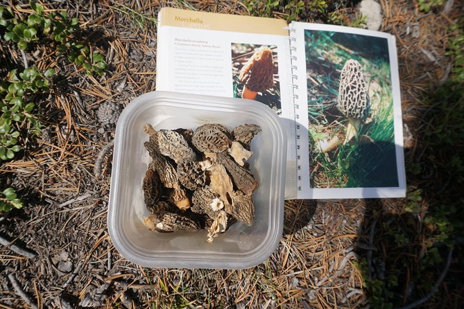 Intro Survival Course Rockies - Guides and Instruction Quality