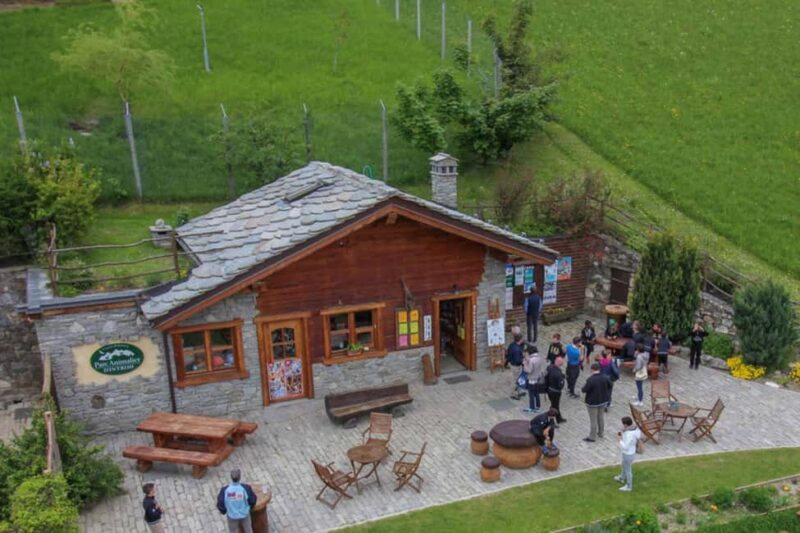 Introd: Entry Ticket to Parc Animalier - Key Points