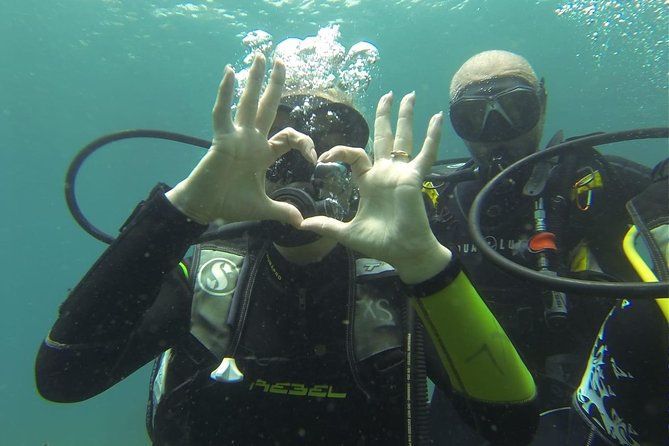 Introdive - The Underwater Scenery Around Isola Bella