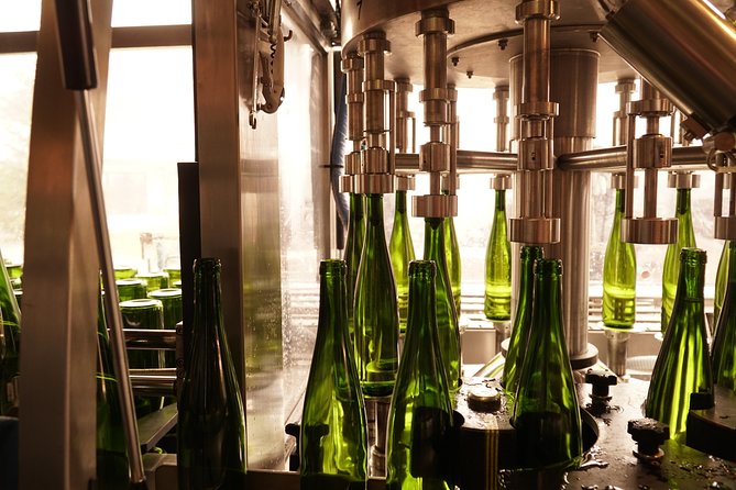 Introduction to Alsace wines - Exploring the Winery: Domaine François Schwach in Hunawihr