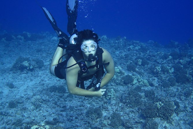 Introductory Beach Scuba Dive - Logistics and Group Size