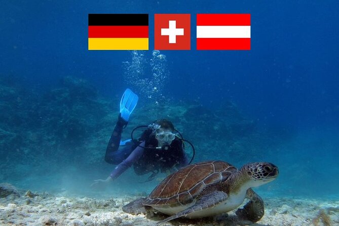 Introductory diving in small groups - Key Points