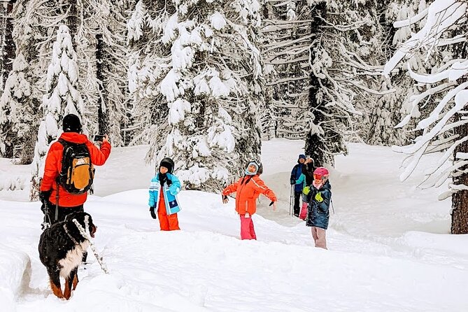 Introductory Guided Snowshoe Tour - What Makes This Snowshoe Tour Stand Out in Lake Tahoe