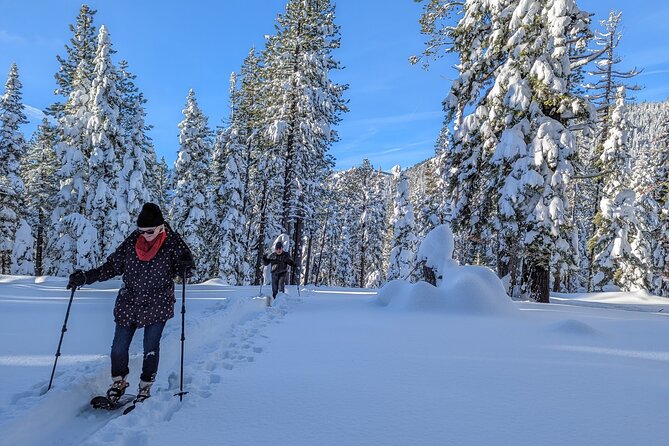 Introductory Guided Snowshoe Tour - Meeting the Guides and the Guide Experience