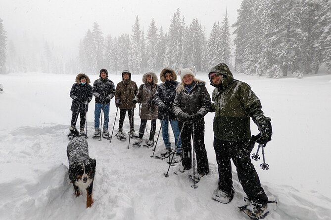 Introductory Guided Snowshoe Tour - The Overall Value of the Snowshoe Experience