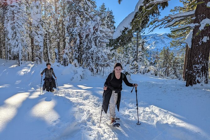 Introductory Guided Snowshoe Tour - Who Will Enjoy This Tour Most?