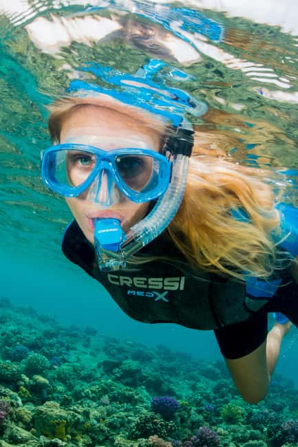 Introductory scuba diving - Underwater Flora and Fauna at the Natura 2000 Site