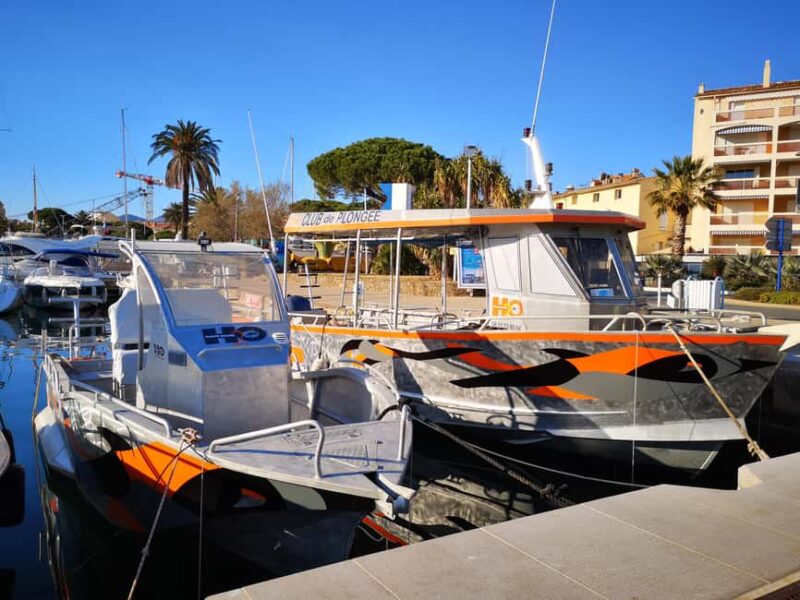 Introductory scuba diving - What Reviewers Say About the Experience