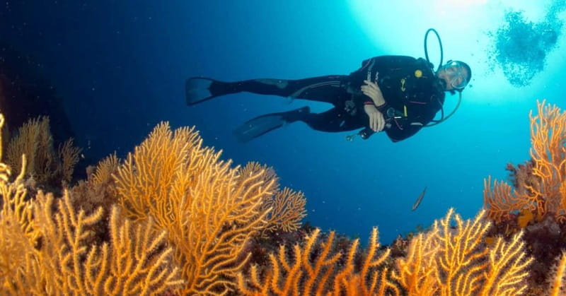 Introductory scuba diving - Who Should Consider This Tour?