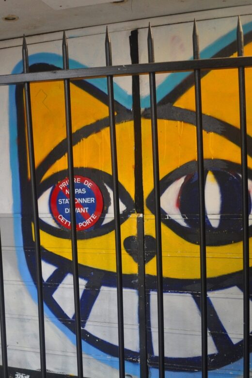 Invader Hunt Street Art Tour - Insights from a Specialist Artist Guide