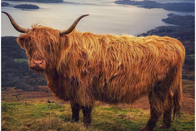 Inverary Castle, Historic Sights and Scenic Beauty from Oban - Transportation and Group Size Benefits