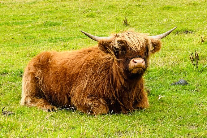 INVERGORDON Highland Shore Excursion for up to 14 pax (Private) - Discovering the Ancient Clava Cairns