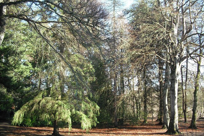 Inverness Bike Tour a 2 hours guided bike tour around the Waterways of Inverness - Exploring Ness Islands and the Botanical Gardens
