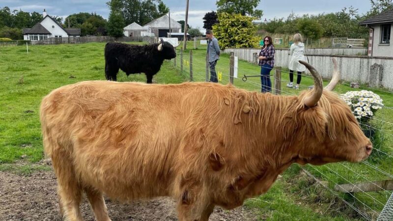 Inverness: Full-Day Guided Tour with Highland Castle - The Battle of Culloden: Scotland’s Last Pitched Battlefield