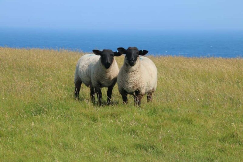 Inverness: John OGroats & Northern Coast Private Voyage - Key Points