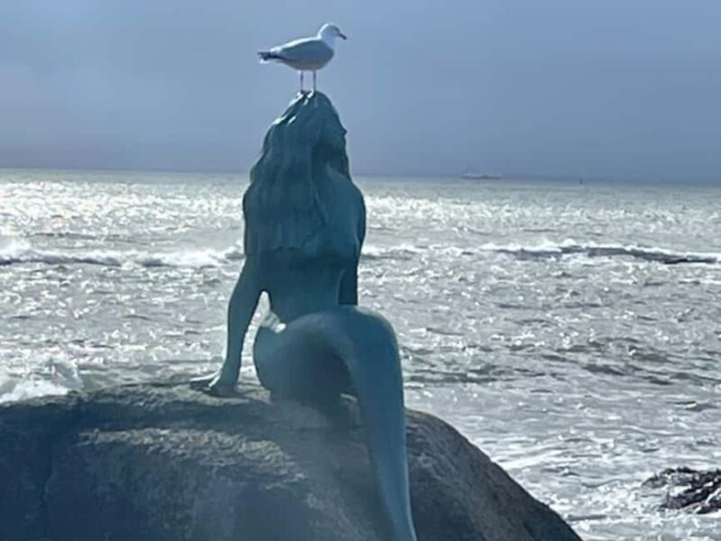 Inverness: Pictish Trail Tour with Ferry Ride - Key Points