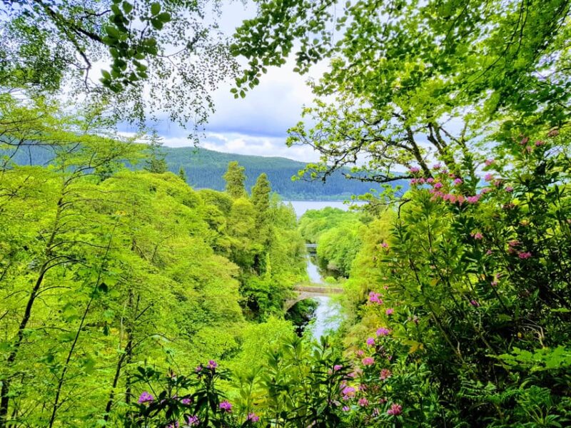 Inverness: Private Secret Hike to the Shores of Loch Ness - Local Baking and Refreshments