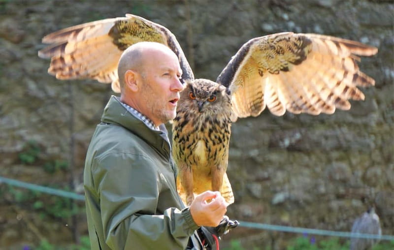 Inverness: Relaxed Private Northern Scottish Highlands Tour - Scenic Drive Along Loch Fleet and Dornoch’s Medieval Charm