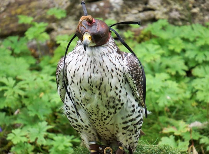 Inverness: Relaxed Private Northern Scottish Highlands Tour - Practical Aspects and What’s Included