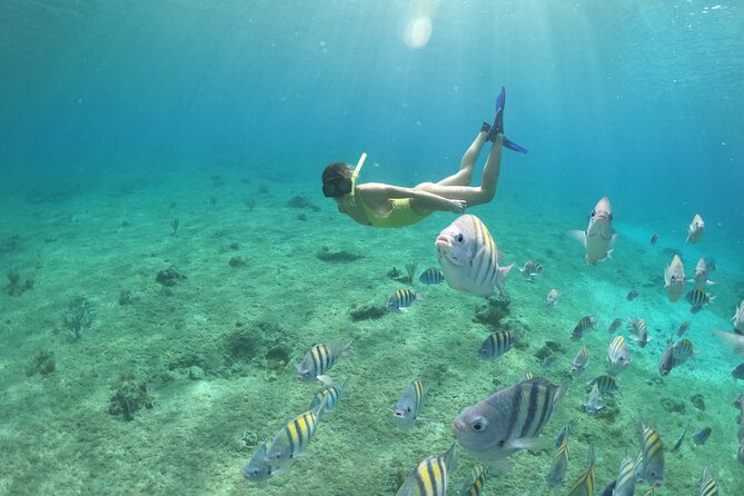 Invisible Boat Snorkeling Tour - Small Group Atmosphere and Multiple Start Times