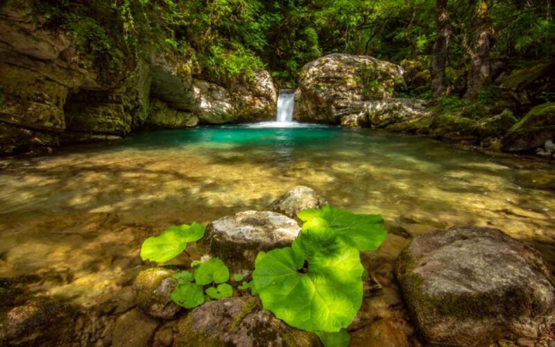 Ioannina: Tzoumerka Sightseeing Tour - Discover the Charm of North Tzoumerka on a Full-Day Tour