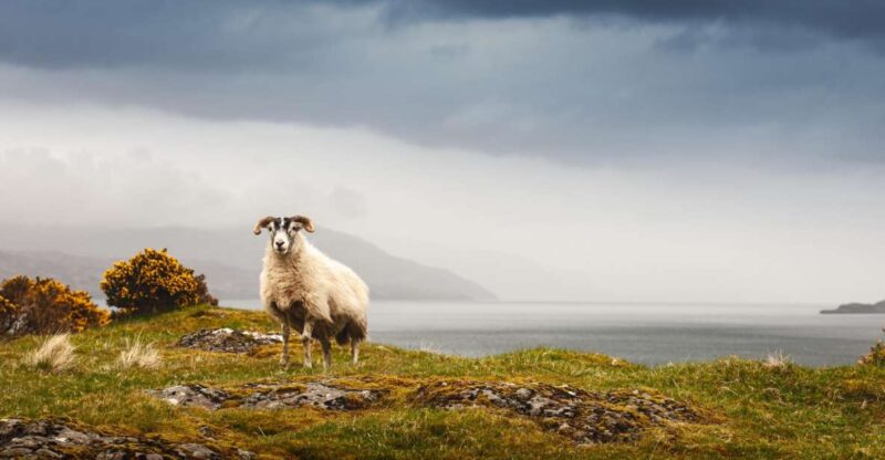 Iona, Mull, and Isle of Skye: 5-Day Tour from Edinburgh - Frequently Asked Questions