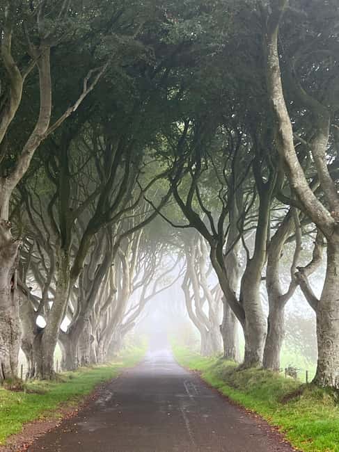 Ireland: Belfast City and Giants Causeway Tour - Belfast and Giants Causeway Private Day Tour: An Elegant Journey Through Northern Ireland