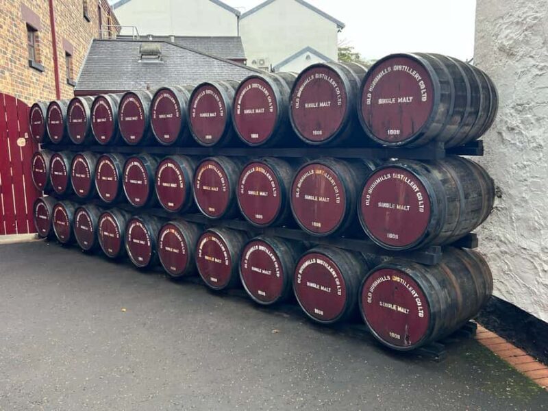 Ireland: Belfast City and Giants Causeway Tour - Exploring The Dark Hedges: The Enchanting Tree Tunnel