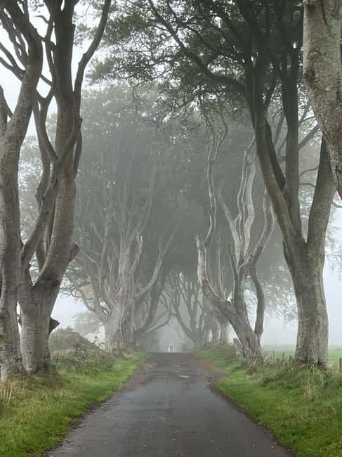 Ireland: Belfast City and Giants Causeway Tour - Lunch and Relaxation in Bushmills