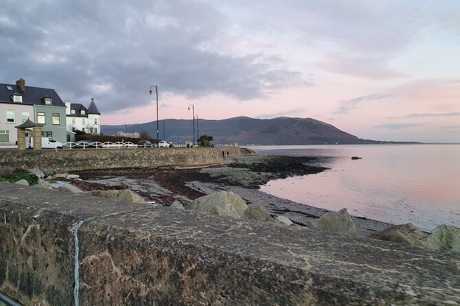 Ireland North Coast MEGA Trip for up to 8 Passengers - Positive Review Highlights