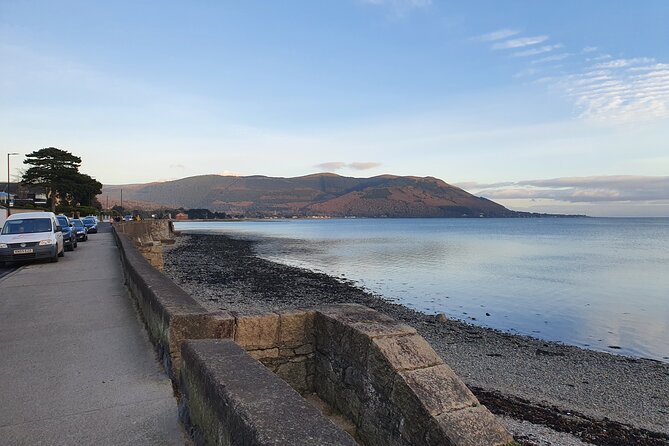 Ireland North Coast MEGA Trip for up to 8 Passengers - Accessibility and Additional Info