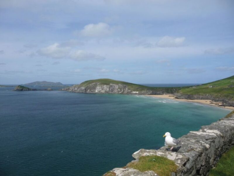 Ireland's North Atlantic Coast 5-Day Tour from Dublin - Connemaras Natural Wonders and Kylemore Abbey